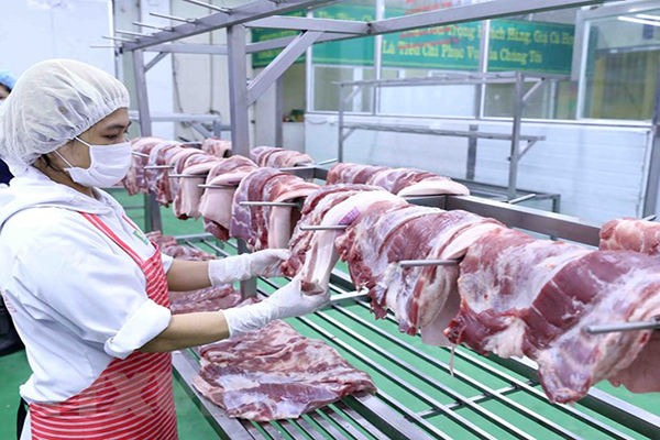 Thịt mát MEATDeli an toàn từ chăn nuôi tới giết mổ