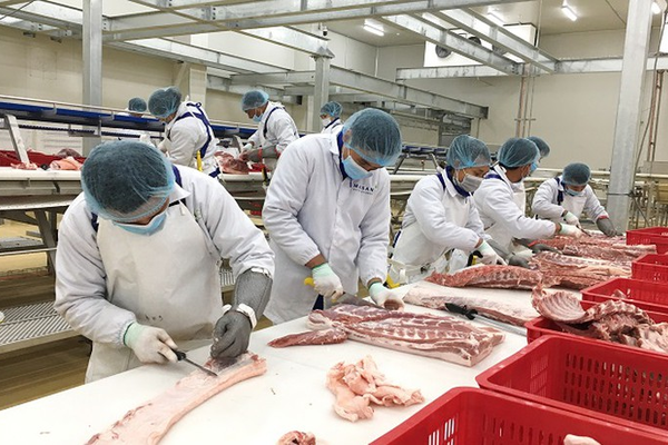 Công nghệ thịt mát và một số công nghệ chế biến thịt trong và ngoài nước
